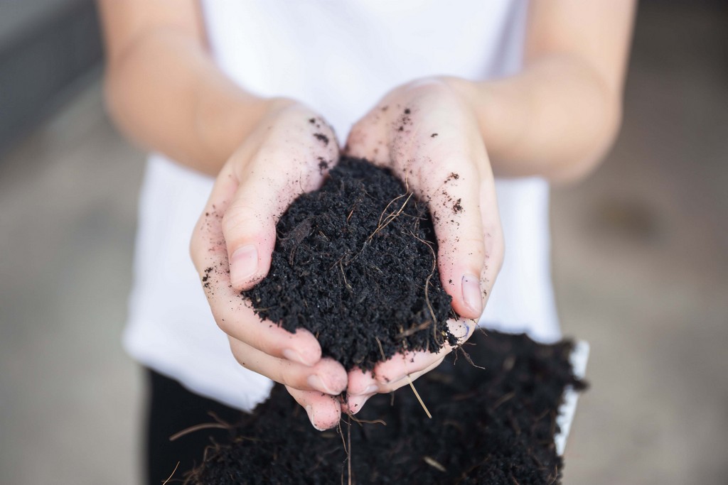 A person pouring homemade compost tea into a watering can in a beautiful garden.