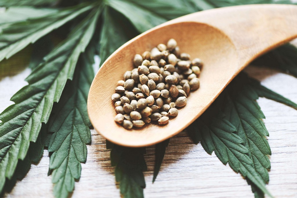 Cannabis seeds stored in a secure container.